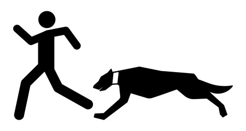 Silhouette of Dog Chasing Person