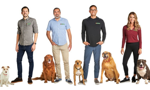 Bark Busters Dog Trainers in San Diego