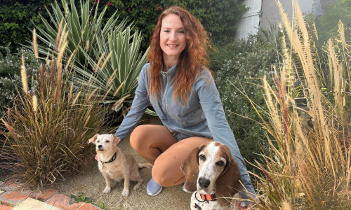 Covina Dog Trainer with Dogs