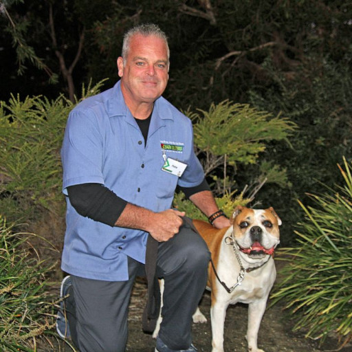 Peter Marciano Bark Busters Bucks County Dog Trainer
