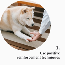 Use positive reinforcement