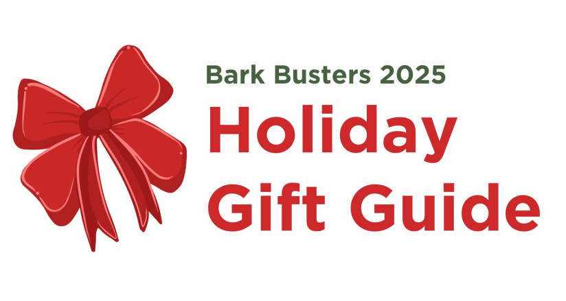 2025 holiday gift guide