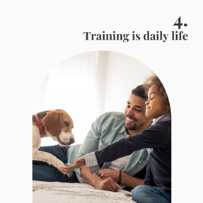 Dog training is daily life