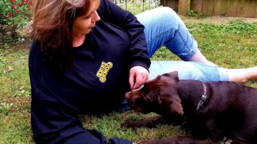 5qRYsejq9eq9ezS8k1nP