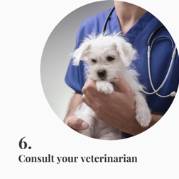 Consult your veterinarian