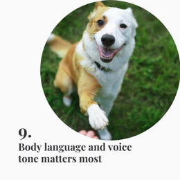 Body language and voice tone matters