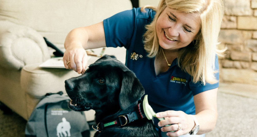 Dog trainer prepares puppy for handling by grooming at home
