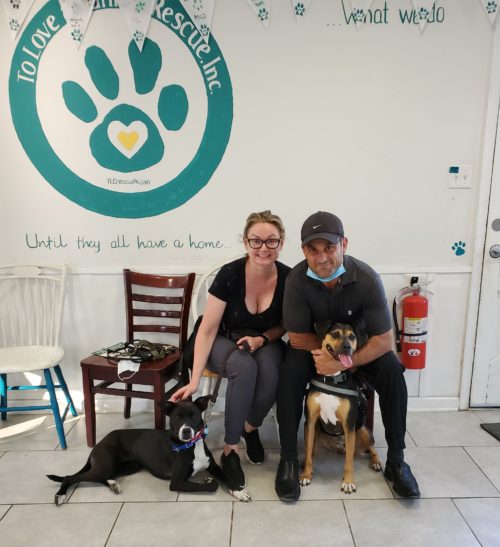 Jamie the foster dog gets adopted