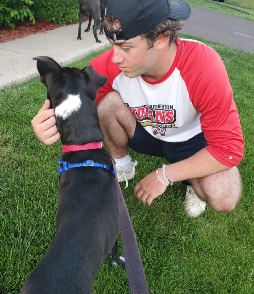 Jamie the foster dog receives pets
