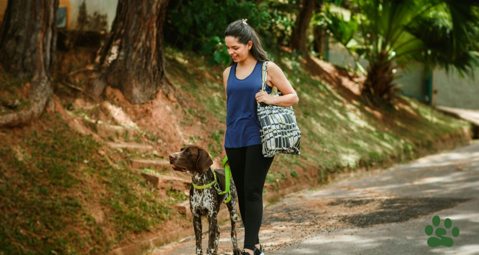 Woman leash walking her dog in a park