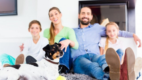 twKxZruzdwydifnjVO7e