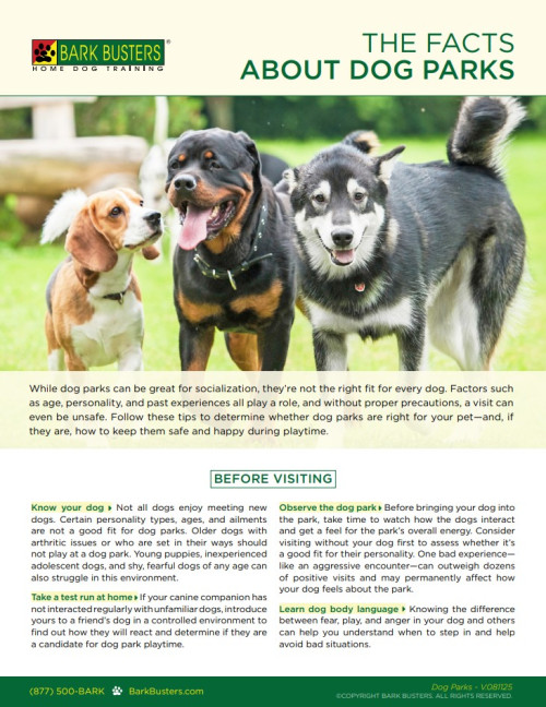 Bark Busters The Facts About Dog Parks