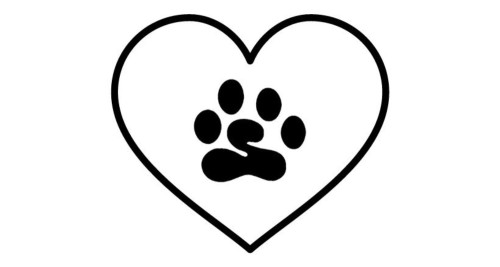 Bark Busters dog friendly training method