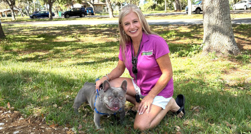 Dog training services in Pinellas County Florida