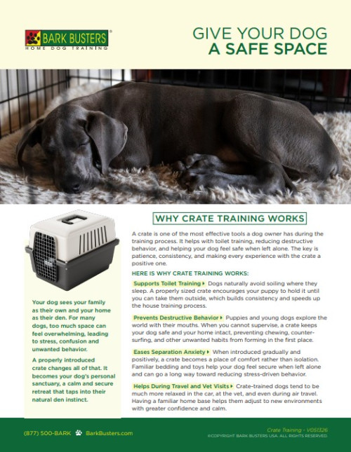 Give Your Dog a Safe Space Crate Training