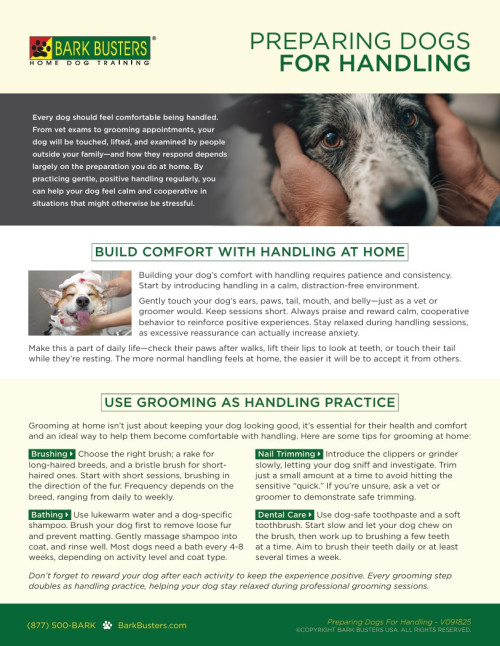 Preparing Dogs for Handling