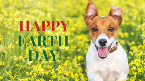 Happy Earth Day Bark Busters Home Dog Training