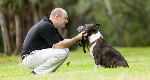 Trainer with Dog Showing Love and Respect