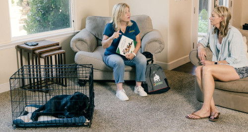 Dog owner is learning how to crate train a puppy