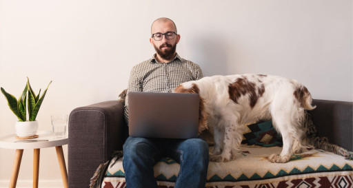 Dog seeking attention from owner on couch