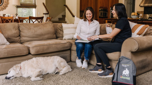 Dog trainer works with dog in their home