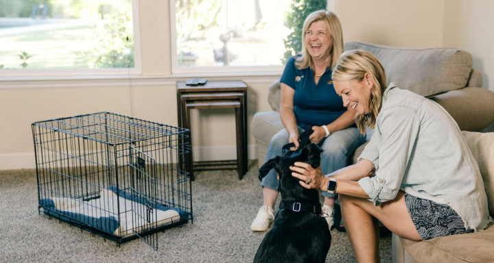 Woman-learning-how-to-crate-train-her-dog__ScaleWidthWzcyMF0