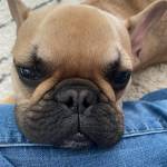 Photo of Ethie & Louie