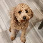 Photo of Santiago, Eddy & Kieran