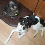 Photo of Rayna & Zoey