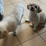 Photo of Sapphire & Bri