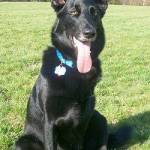 Photo of Green Regenmacher