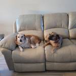 Photo of Axle rose & Brandi