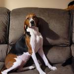 Photo of Leggo & Hope