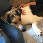 Photo of Nilla