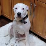 Photo of Patches & Lily