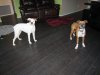 Photo of Kenzie, Bella