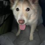 Photo of Gunnar / Sammy