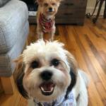 Photo of Thomas and Winnie