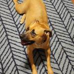 Photo of Rory & Cody