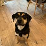 Photo of Sargent Oso