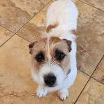 Photo of Nipsey & Aiofe