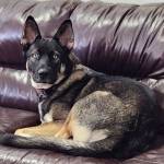 Photo of Rocky & Canelo