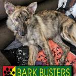 Photo of Daisy & Emma