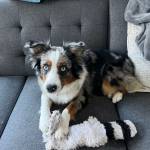 Photo of Jimi / Ollie