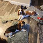 Photo of Murray & Hershey