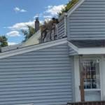 Photo of Bruno and Moose