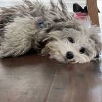 Photo of Sadie / Lexi