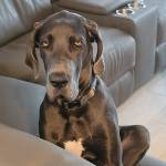 Photo of Luna & Trixie