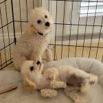 Photo of Maddie and Jack