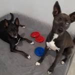 Photo of Remi and Winnie